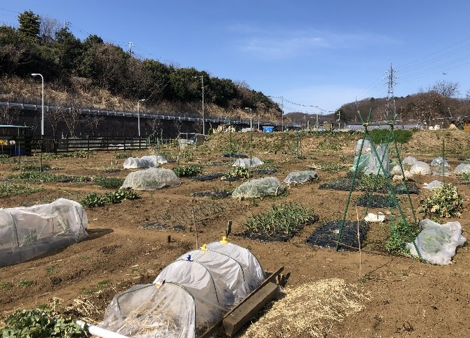 農業体験農園のようす 農業体験農園のようす